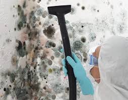 Mold Remediation for Vacation Homes in Princeton, NJ